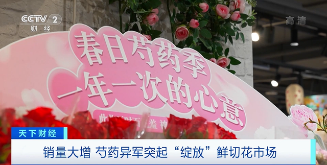 群二维码多少人之后不能用《qq群里的群文件在哪里找到》