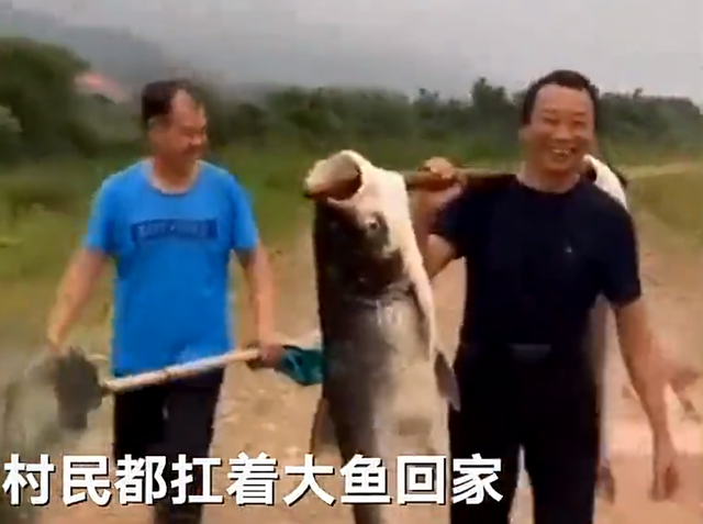 群二维码怎么弄出来 微信《怎么把qq二维码变成企鹅》