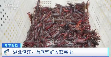 微信群二维码大全最新2025《QQ群的二维码怎么弄别的样子》