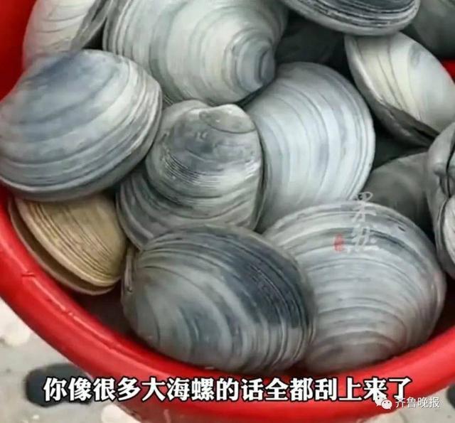 群主制定微信群规则怎么写《qq群二维码怎么进群》