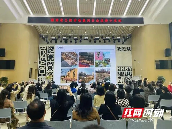 南湖新区幼教管理中心：深悟安吉游戏内涵 推动本土化发展