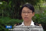 另类宠物风潮“兴起”？广州海关严打“异宠”非法入境，截获非法入境“异宠”400多头