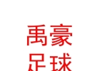 临河区禹豪足球培训学校有限公司