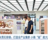 小镇“链”就大产业！广东东莞石排镇打造潮玩全产业集群
