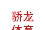 乌鲁木齐骄龙体育俱乐部（有限责任公司）
