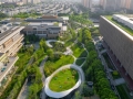 “四馆一园”公共空间完成优化提升，浦东“城市绿色客厅”焕新亮相