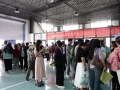 新疆伽师县搭“云梯”聚才 互联网企业“职”通家门口