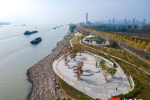 南京江北新区扬子江生态公园“梧桐语”小型城市客厅建成了，快来打卡！