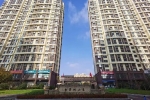 青岛西海岸新区：“白果树”的幸福蝶变