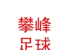西藏攀峰足球俱乐部有限公司