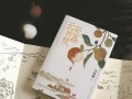 文化周刊｜“历史悬疑”为何能持续走红？