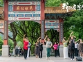 第二次也很美？中老年人婚恋调查，从热播剧《我的后半生》说开去