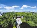 成都“五一”线上消费活跃：网络零售额预计同比增长20.49%