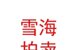 西藏雪海拍卖有限公司