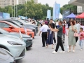 都市车界｜新能源汽车下乡五年记：充电桩进村，绿牌车入户