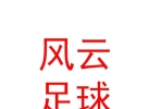 西藏风云足球俱乐部有限公司