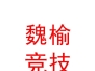 山西魏榆竞技足球俱乐部有限公司