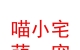 民和县喵小宅萌宠生活馆