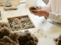 品牌战场硝烟四起：网红女装转战、鸭鸭羽绒服突围……