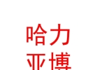 内蒙古哈力亚博足球俱乐部有限公司