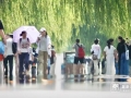 荷叶帽亮了！杭州热疯，西湖景区游客上演“花式”避暑