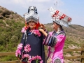 在云端，走一场与杜鹃花浪漫邂逅的“秀”