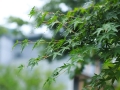 雨天不出门？胡庆余堂中医把脉+盐晶房疗愈，赴湘湖养生局的大巴已停满