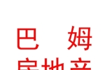 西藏巴姆房地产经纪有限公司