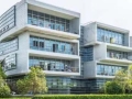 推动AI大模型应用发展，浦东集群孵化放大效应正在显现