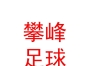 西藏攀峰足球俱乐部有限公司