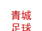 内蒙古青城足球俱乐部有限公司