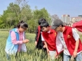 南海新区：幸福“微阵地” 织就民生“大图景”