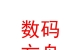 西藏数码方舟信息科技有限公司