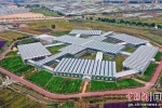 甘肃靖远：打好“四张牌” 构建现代产业体系