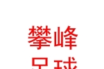 西藏攀峰足球俱乐部有限公司