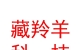 西藏藏羚羊网络科技有限公司