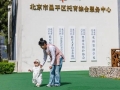 摸索“婴语”、练习急救，北京首批托幼“科班生”成长记