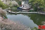 刘雄辉：我为湖南湘江新区文旅打call