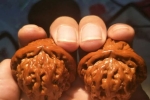 未来十年，收藏文玩好还是购买黄金好？