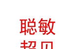 山西聪敏超见装修有限公司