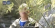 虚假投资理财诈骗升级！维信金科教你识破“稳赚不赔”骗局