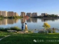 兰州新区深入组织实施生态环境保护“九大行动”用心书写美丽新区时代答卷
