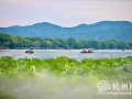 西湖这个景点仙气飘飘 水墨仙境引游客打卡