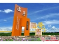1400万元激活发展动能 片区化发展绘就农文旅融合新图景