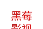 黑莓影视制作（内蒙古）有限公司