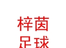 内蒙古梓茵足球文化发展有限公司