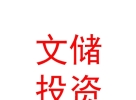西藏文储投资基金管理有限公司