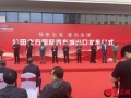 临沂兰田北方国际汽车城举行出口发车仪式，20辆二手车扬帆“出海”
