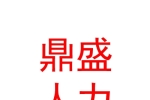 银川市鼎盛人力资源有限公司