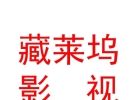 西藏藏莱坞影视有限责任公司